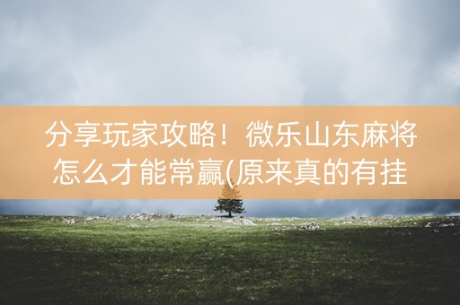 分享玩家攻略！微乐山东麻将怎么才能常赢(原来真的有挂呢)