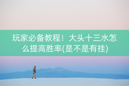 玩家必备教程！大头十三水怎么提高胜率(是不是有挂)