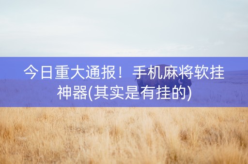 今日重大通报！手机麻将软挂神器(其实是有挂的)