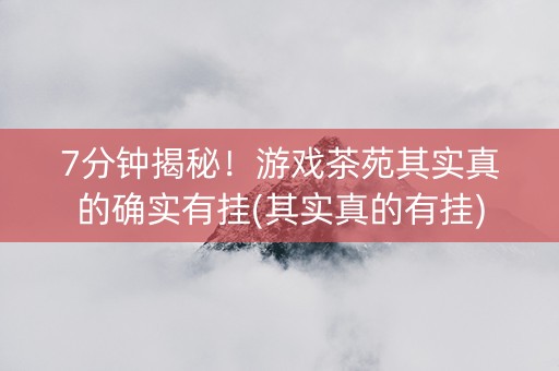7分钟揭秘！游戏茶苑其实真的确实有挂(其实真的有挂)