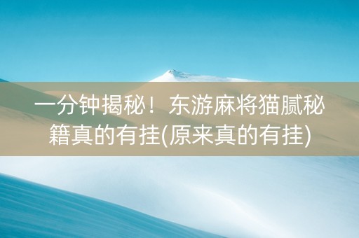 一分钟揭秘！东游麻将猫腻秘籍真的有挂(原来真的有挂)