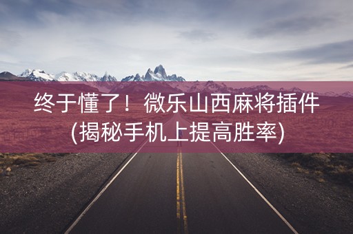 终于懂了！微乐山西麻将插件(揭秘手机上提高胜率)