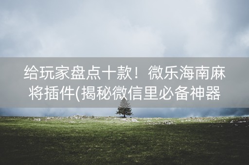 给玩家盘点十款！微乐海南麻将插件(揭秘微信里必备神器)