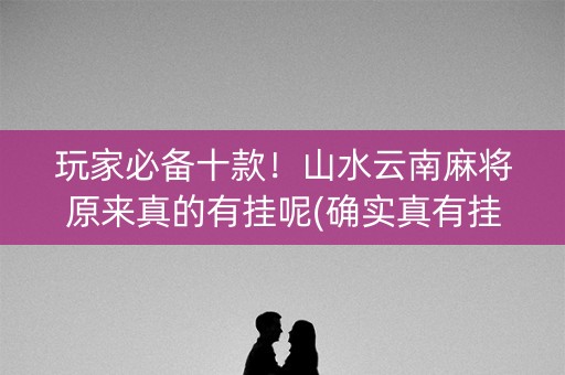 玩家必备十款！山水云南麻将原来真的有挂呢(确实真有挂)