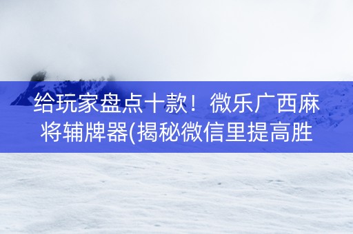 给玩家盘点十款！微乐广西麻将辅牌器(揭秘微信里提高胜率)