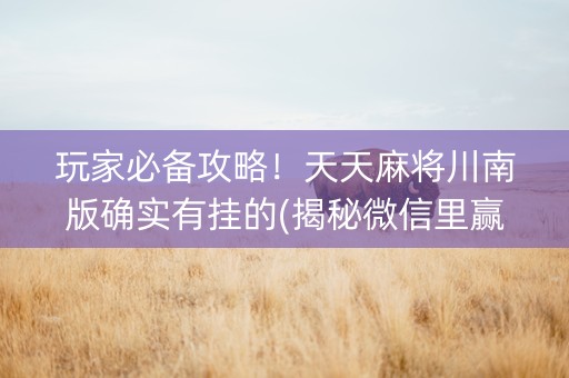 玩家必备攻略！天天麻将川南版确实有挂的(揭秘微信里赢的诀窍)