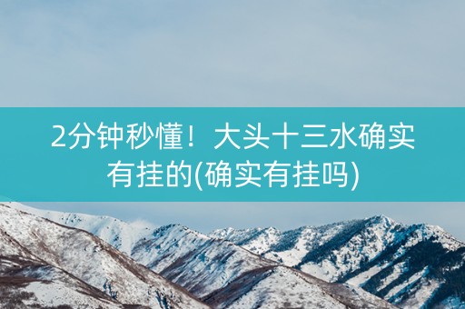 2分钟秒懂！大头十三水确实有挂的(确实有挂吗)