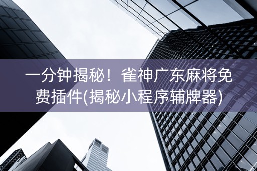 一分钟揭秘！雀神广东麻将免费插件(揭秘小程序辅牌器)