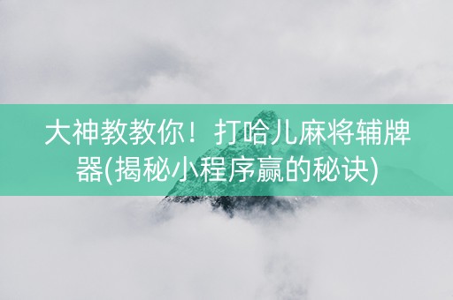 大神教教你！打哈儿麻将辅牌器(揭秘小程序赢的秘诀)