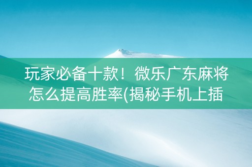 玩家必备十款！微乐广东麻将怎么提高胜率(揭秘手机上插件购买)