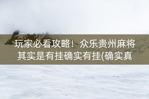 玩家必看攻略！众乐贵州麻将其实是有挂确实有挂(确实真有挂)