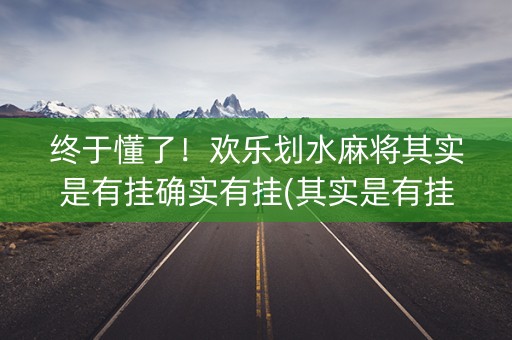 终于懂了！欢乐划水麻将其实是有挂确实有挂(其实是有挂的)