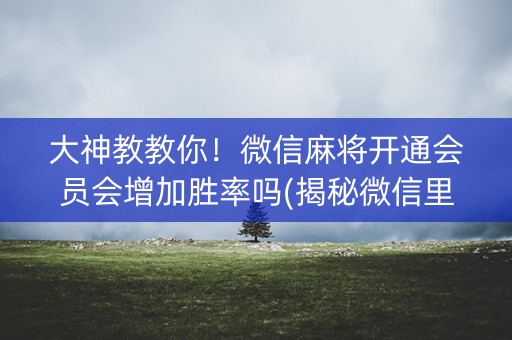 大神教教你！微信麻将开通会员会增加胜率吗(揭秘微信里助攻神器)