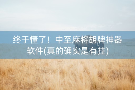 终于懂了！中至麻将胡牌神器软件(真的确实是有挂)