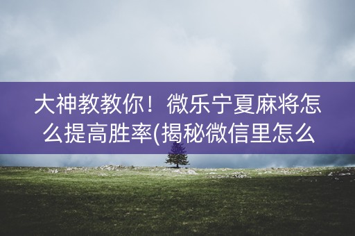 大神教教你！微乐宁夏麻将怎么提高胜率(揭秘微信里怎么容易赢)