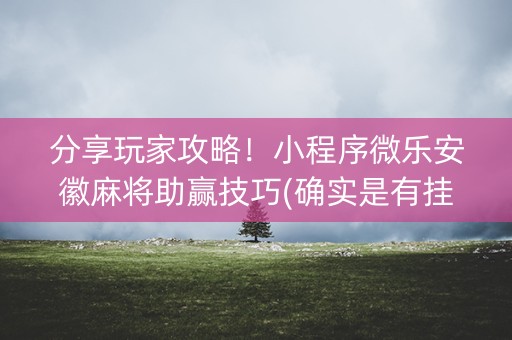 分享玩家攻略！小程序微乐安徽麻将助赢技巧(确实是有挂的)