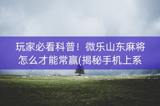 玩家必看科普！微乐山东麻将怎么才能常赢(揭秘手机上系统发好牌)