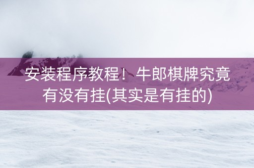 安装程序教程！牛郎棋牌究竟有没有挂(其实是有挂的)