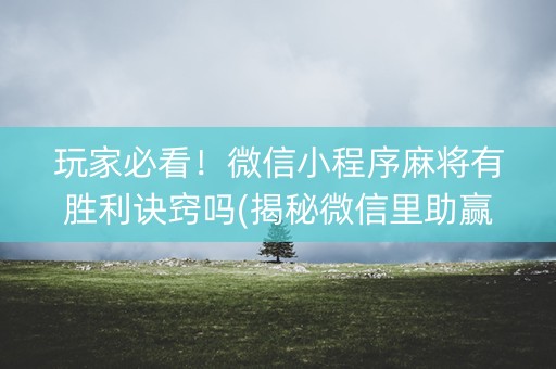 玩家必看！微信小程序麻将有胜利诀窍吗(揭秘微信里助赢软件)