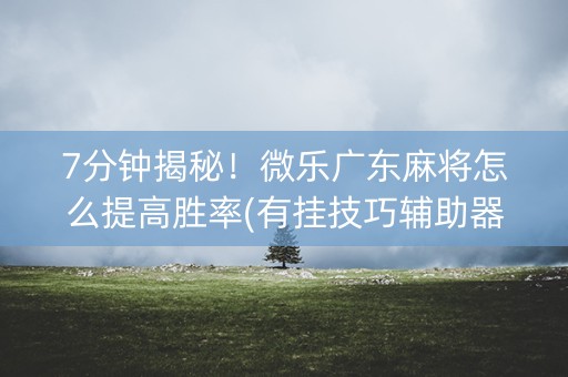 7分钟揭秘！微乐广东麻将怎么提高胜率(有挂技巧辅助器)