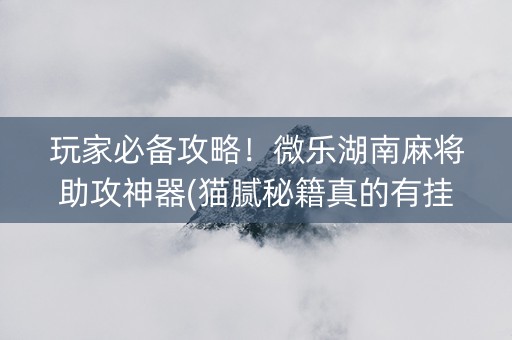 玩家必备攻略！微乐湖南麻将助攻神器(猫腻秘籍真的有挂)