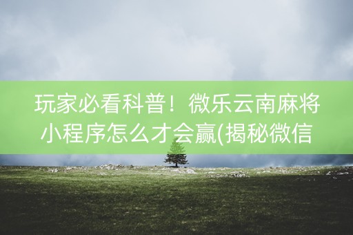 玩家必看科普！微乐云南麻将小程序怎么才会赢(揭秘微信里助攻神器)