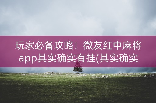 玩家必备攻略！微友红中麻将app其实确实有挂(其实确实有挂)
