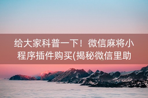 给大家科普一下！微信麻将小程序插件购买(揭秘微信里助攻神器)