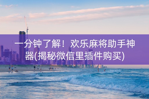 一分钟了解！欢乐麻将助手神器(揭秘微信里插件购买)
