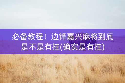 必备教程！边锋嘉兴麻将到底是不是有挂(确实是有挂)