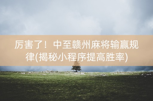 厉害了！中至赣州麻将输赢规律(揭秘小程序提高胜率)