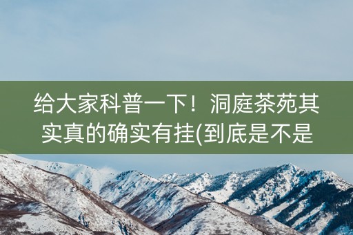 给大家科普一下！洞庭茶苑其实真的确实有挂(到底是不是有挂)