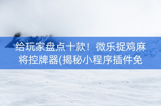 给玩家盘点十款！微乐捉鸡麻将控牌器(揭秘小程序插件免费)