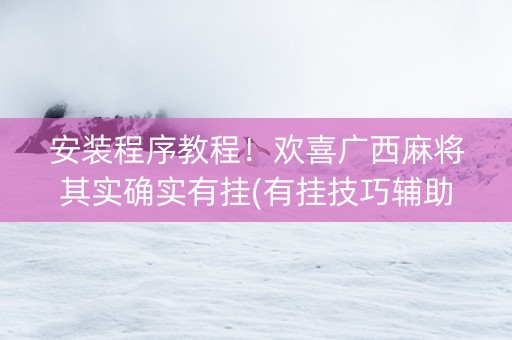 安装程序教程！欢喜广西麻将其实确实有挂(有挂技巧辅助器)