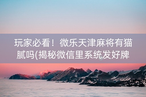 玩家必看！微乐天津麻将有猫腻吗(揭秘微信里系统发好牌)