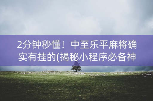 2分钟秒懂！中至乐平麻将确实有挂的(揭秘小程序必备神器)
