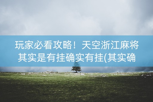 玩家必看攻略！天空浙江麻将其实是有挂确实有挂(其实确实有挂)