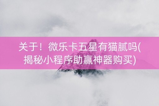 关于！微乐卡五星有猫腻吗(揭秘小程序助赢神器购买)