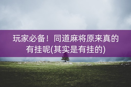 玩家必备！同道麻将原来真的有挂呢(其实是有挂的)