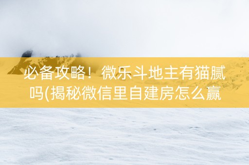 必备攻略！微乐斗地主有猫腻吗(揭秘微信里自建房怎么赢)