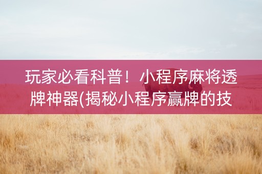 玩家必看科普！小程序麻将透牌神器(揭秘小程序赢牌的技巧)