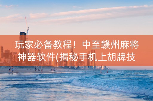玩家必备教程！中至赣州麻将神器软件(揭秘手机上胡牌技巧)
