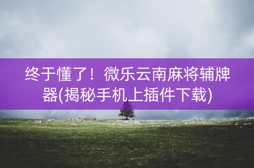 终于懂了！微乐云南麻将辅牌器(揭秘手机上插件下载)