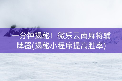 一分钟揭秘！微乐云南麻将辅牌器(揭秘小程序提高胜率)