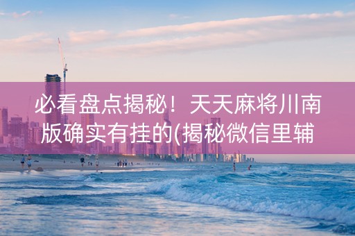 必看盘点揭秘！天天麻将川南版确实有挂的(揭秘微信里辅牌器)