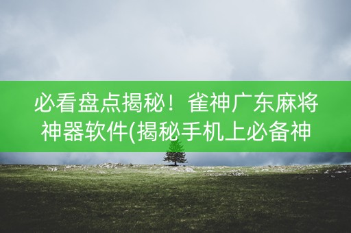 必看盘点揭秘！雀神广东麻将神器软件(揭秘手机上必备神器)
