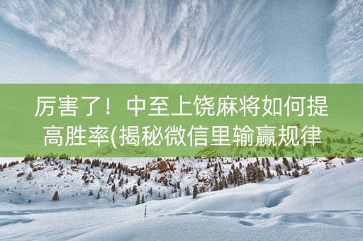 厉害了！中至上饶麻将如何提高胜率(揭秘微信里输赢规律)