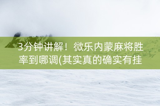 3分钟讲解！微乐内蒙麻将胜率到哪调(其实真的确实有挂)