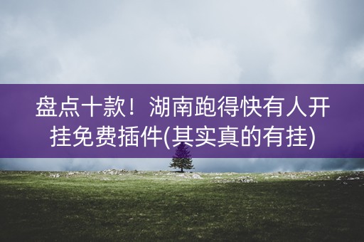 盘点十款！湖南跑得快有人开挂免费插件(其实真的有挂)
