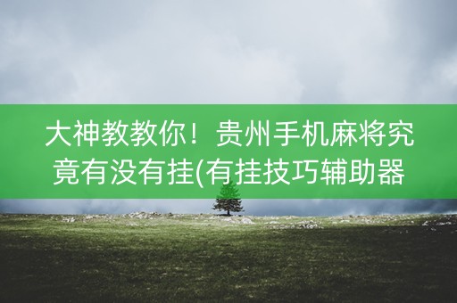 大神教教你！贵州手机麻将究竟有没有挂(有挂技巧辅助器)